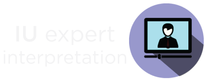 Video interpretation 